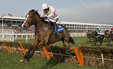 Faugheen romps home to give the punters a good start to Wednesday