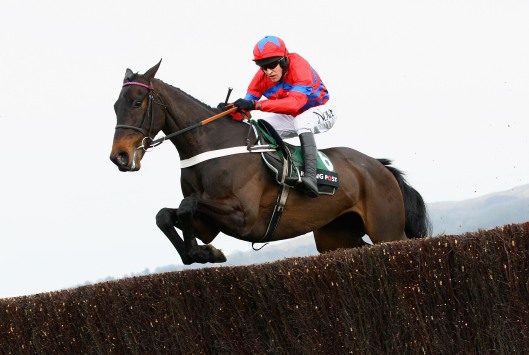 Can Sprinter Sacre come back to regain the crown?